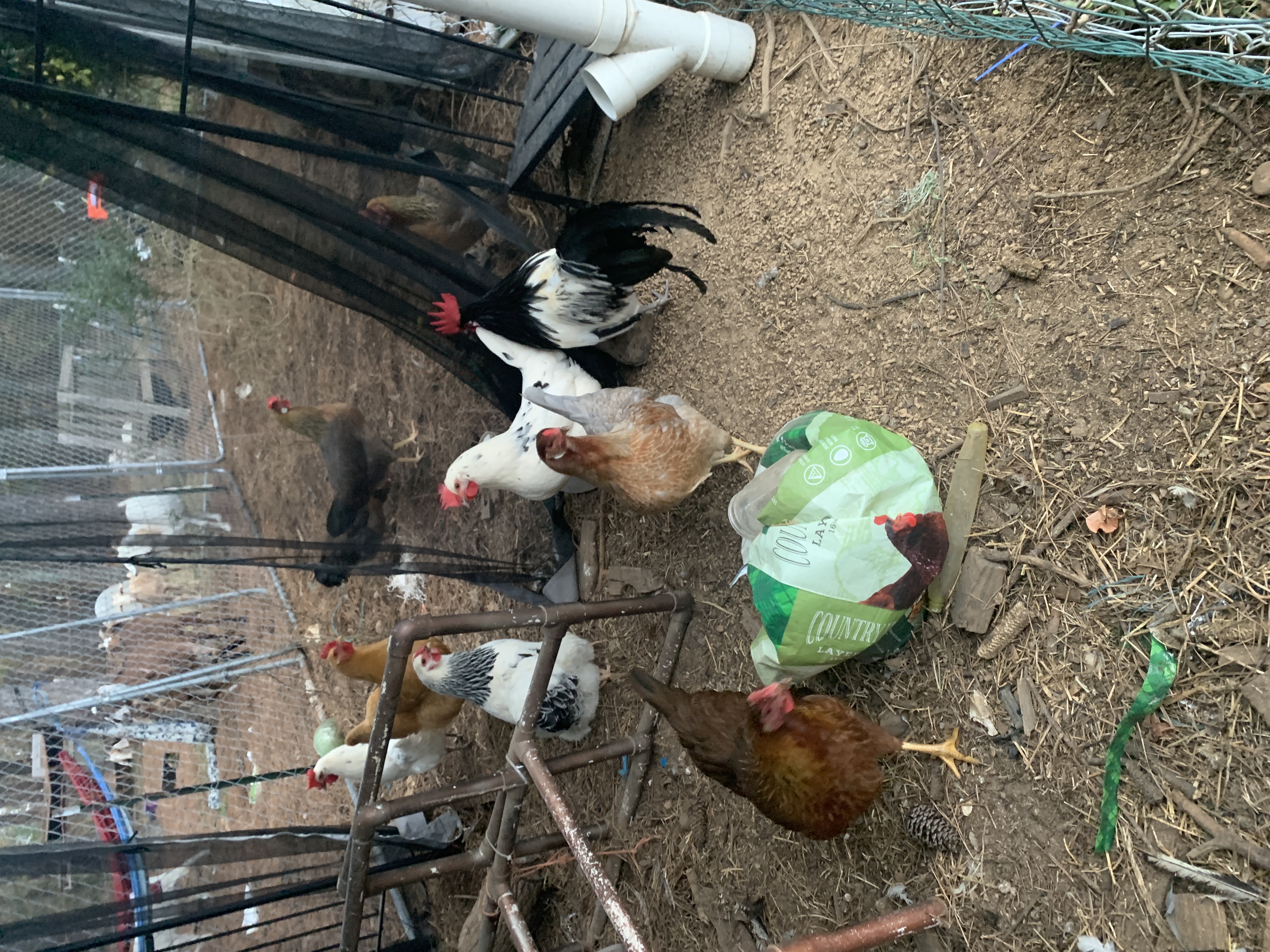 farm update